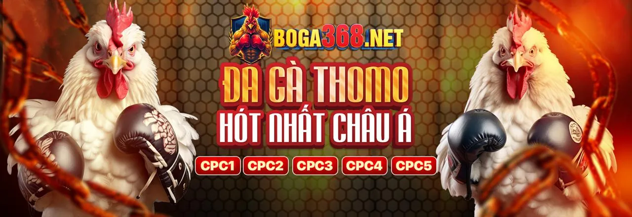 Cá Cược Thể Thao Trực Tuyến Thabet88
