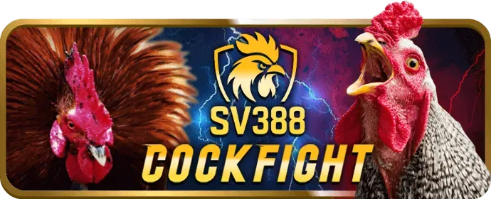 Chiến lược chơi casino trực tuyến Thabet88